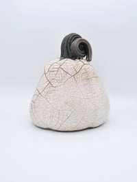 Image 1 of White Crackle Raku Pumpkin