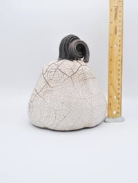 Image 5 of White Crackle Raku Pumpkin