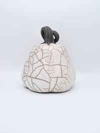 Image 4 of White Crackle Raku Pumpkin