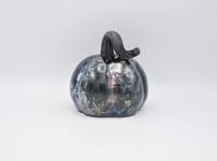 Image 1 of Small Black Lustre Pumpkin