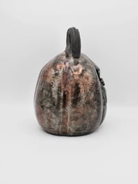 Image 5 of Vexa