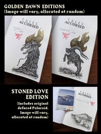 Image 3 of Tales Accursed