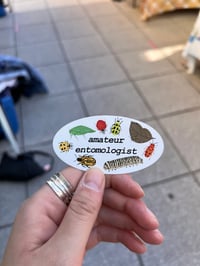 Amateur entomologist