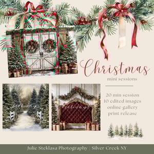 Image of Saturday November 29th - Christmas Mini Photo Session