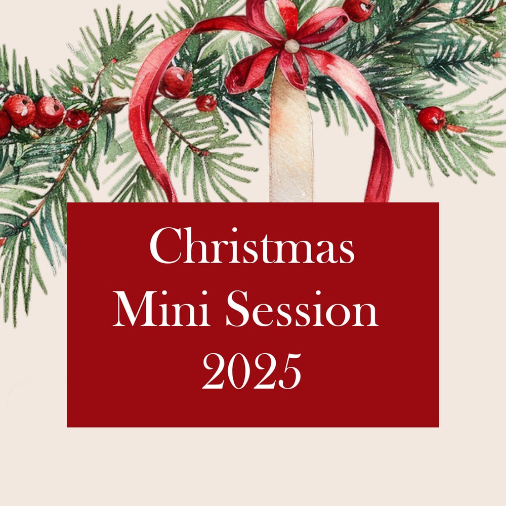 Image of Thursday November 20th - Christmas Mini Photo Session