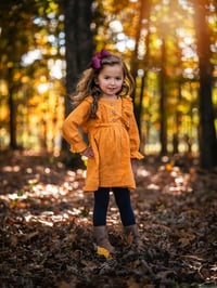 Image 4 of Fall Forest 11/8