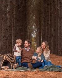 Image 2 of Winter Pine Forest 11/15