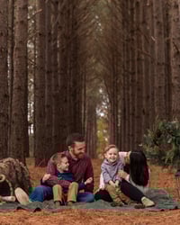 Image 5 of Winter Pine Forest 11/15