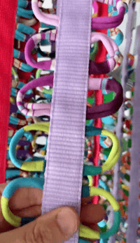 Image 1 of Gay Leashes for Bi-Curious Dogs - Lavender Menace Watercress