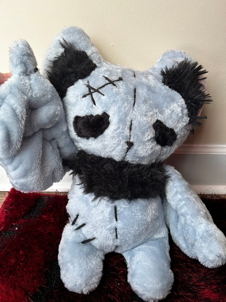 Image of Gray Bat Gibbie