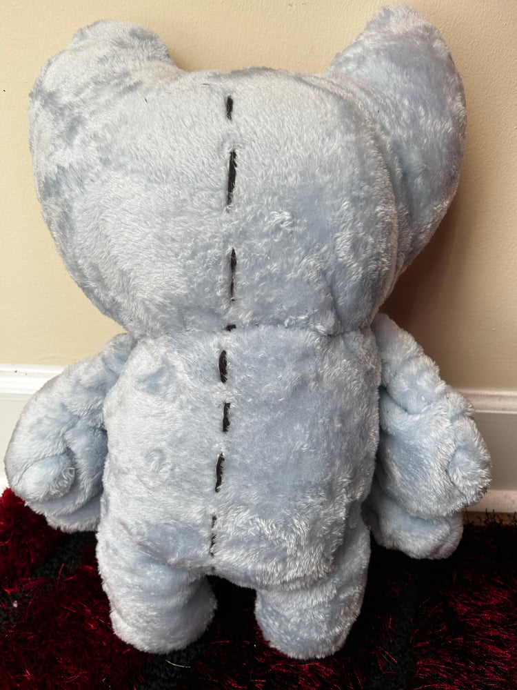 Image of Gray Bat Gibbie