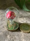 Image of Mintaure Magic fly agaric mushroom in a glass dome 