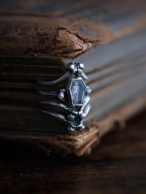 Image of INTO THE GRAVE : MINI RING