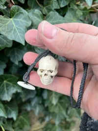 Image 1 of Fallow antler Skull pendant 