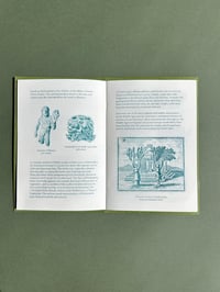 Image 2 of The Green Man