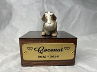 Image 12 of Custom Engraved Guinea Pig Urn Custom HandPainted To Your Photos
