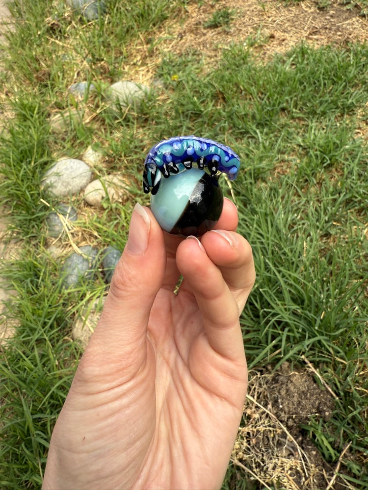 Image of Caterpillar Marble