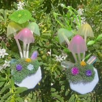 Image 1 of Mush Nightlight 🧚🏻✨