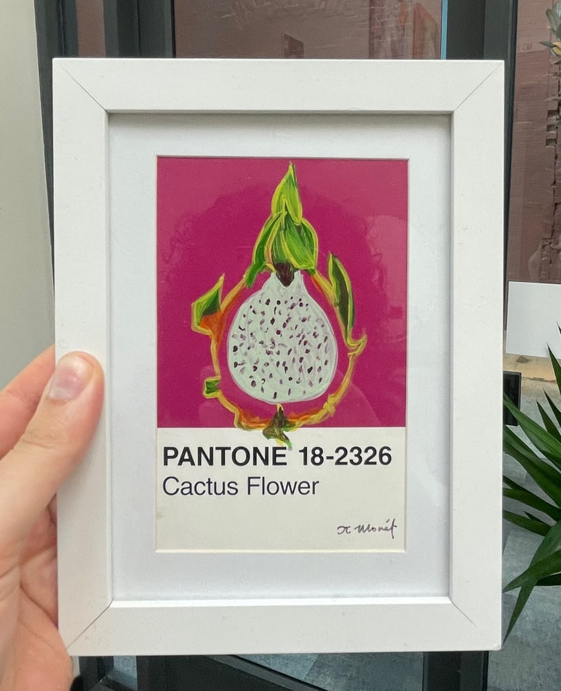 Image of Dragonfruit Pantone