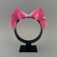Image 1 of Galactic Pink Kitten
