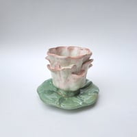 Image 1 of water lily (pink)