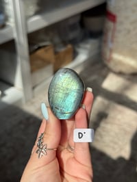 Image 4 of CHOOSE YOUR OWN MINI LABRADORITE FREEFORM -MADAGASCAR-