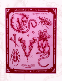 Image 1 of Rats Flash Sheet