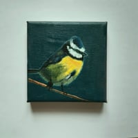 Image 1 of Blue Tit