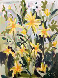 Image 1 of Dandy at Longwood