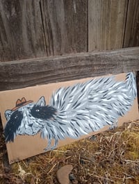 Image 2 of Long Raccoon 