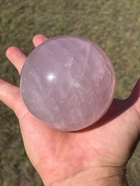 Image 11 of Star Rose Quartz Sphere #2642