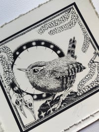 Image 4 of Little wren- drawn to scale!