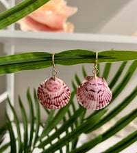 Image 1 of Pink/Purple Scallop Earrings E130