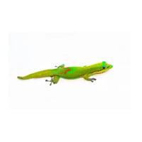 Gold Dust Day Gecko