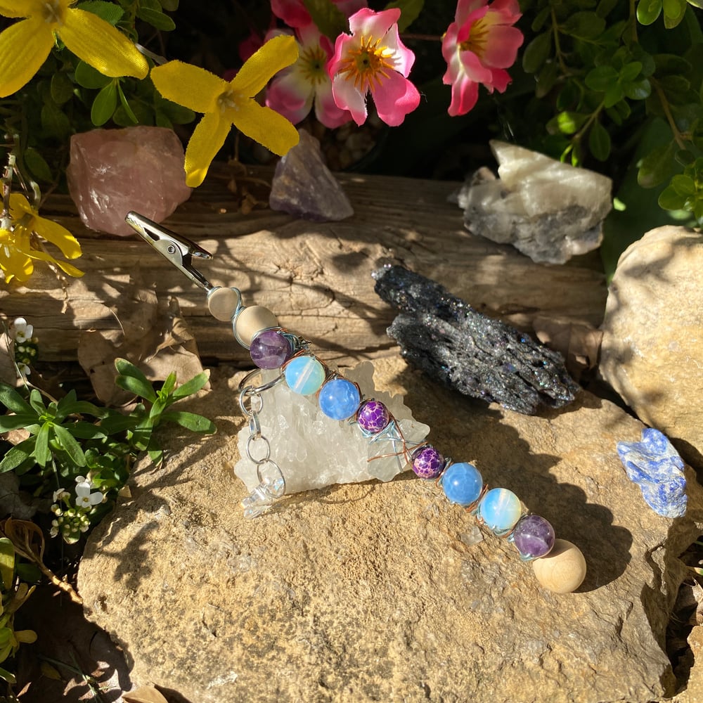 Image of amethyst lake roach clip