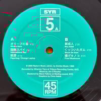 Image 5 of キム ゴードン* - ミュージカル パースペクティブ 2x12”