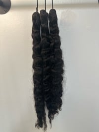 Image 5 of Raw Burmese Curly 