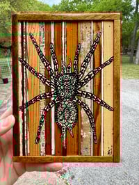 Image 3 of Desert Friend