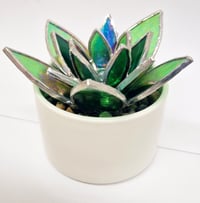 Image 3 of Stained Glass Succulent 
