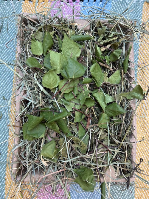 Image of Recycled deep tray filled with mixed dried forage *limited stock!*