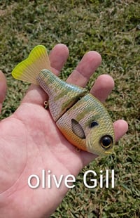 Image 2 of  Buddy Gill Glide