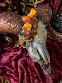 Image 2 of Candle Quartz & Pyrite - Ram Skull