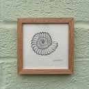 Image 1 of £50 originals - Ammonite, pointillism