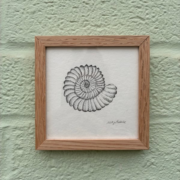Image of £50 originals - Ammonite, pointillism