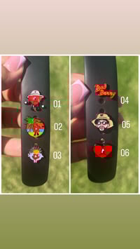 Un Verano sin ti new watch charms 