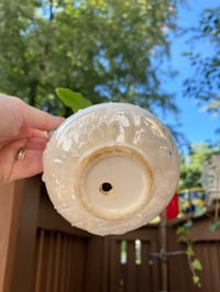Image 2 of Zig Zag Plant in Vintage Lusterware Blue Pitcher