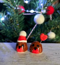 Image 9 of Mini Robins