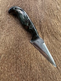 Image 1 of JUNGLE MOSS FIGHTER