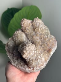 Image 4 of SELF STANDING SPARKLY APOPHYLITE STALACTITES -INDIA- B