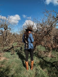 Image 2 of Wrangler Denim Jacket